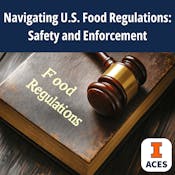 Navigating U.S. Food Regulations: Safety and Enforcement
