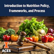 Introduction to Nutrition Policy, Frameworks, and Process