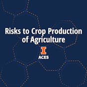 Risks to Crop Production in Agriculture