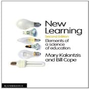 New Learning: Principles and Patterns of Pedagogy 